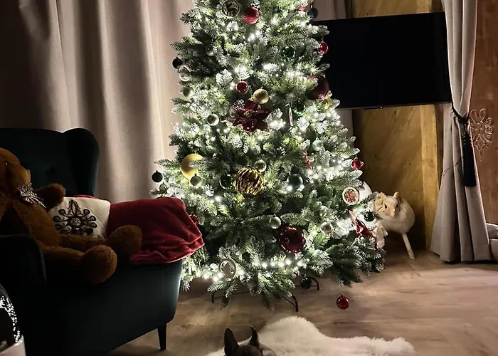 View Kasprowy Wierch Premium Deluxe & Lägenhet Kościelisko